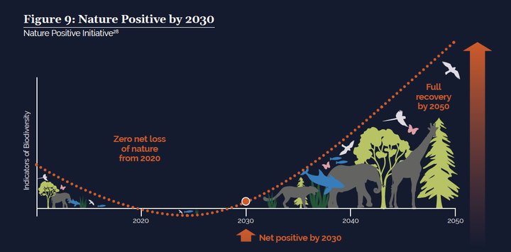 Path to become nature positive by 2030, then regenerate it by 2050