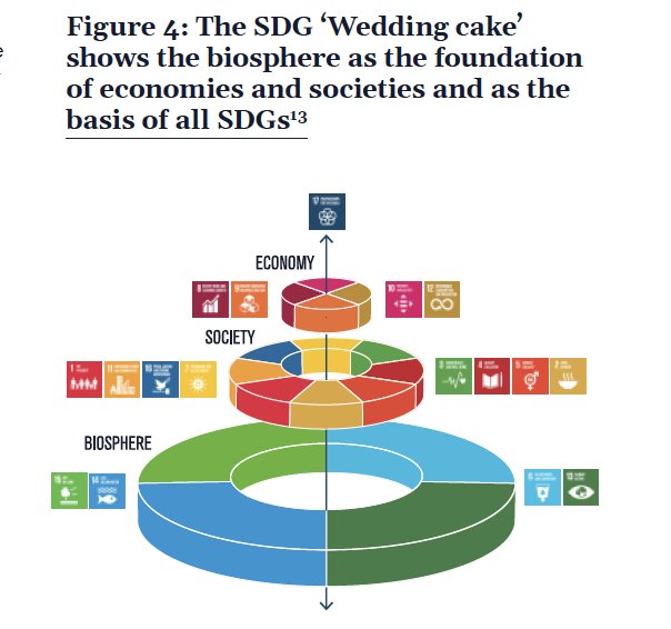 Watch and Jewellery Initiative 2030: the new chapter
