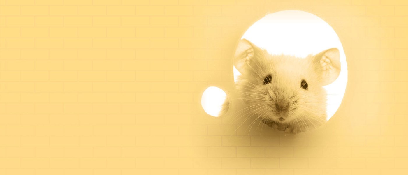 Getting future watch distribution right – the fate of an industry