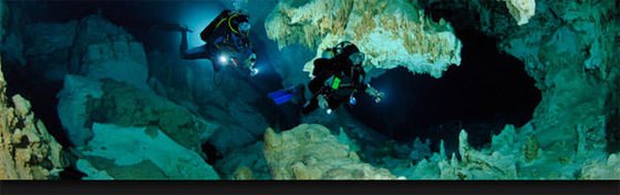 Rolex is looking for innovative projects to improve the world