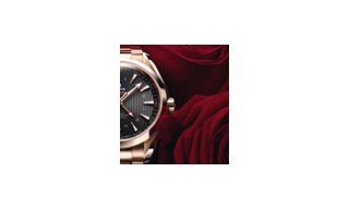 Valentine's Day Selection - Omega's Seamaster Aqua Terra GMT