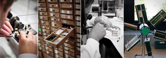 Service, please! - Patek Philippe: service patrimonial