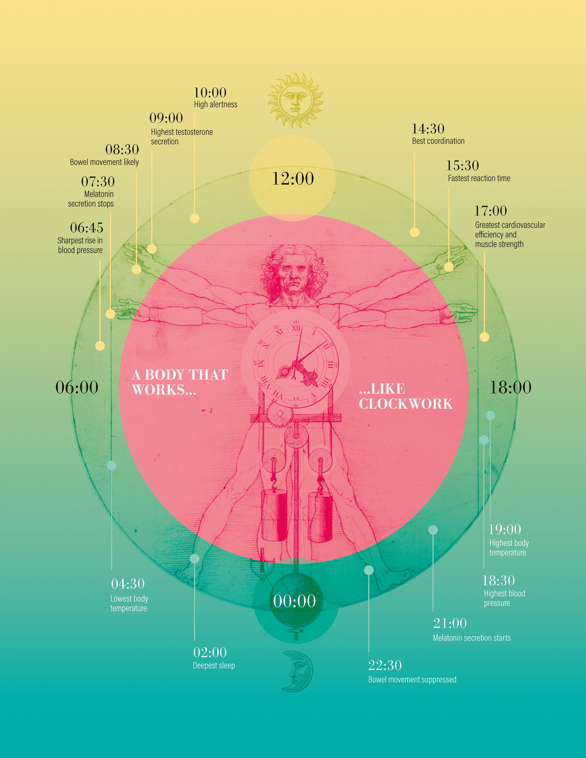 Listening to your internal clock