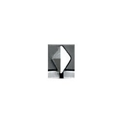 AUTOMATIC FLYING TOURBILLON by Perrelet